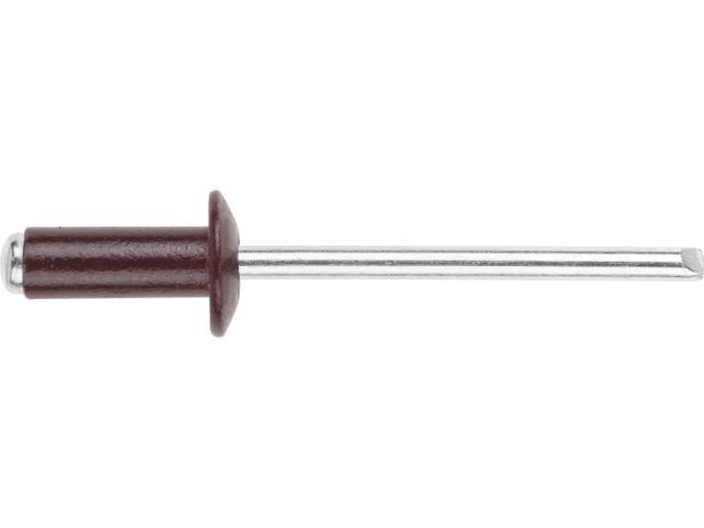 Blind rivet 4.8х12 alum/steel zinc plated RAL 3005 (10000 pcs/carton) STARFIX