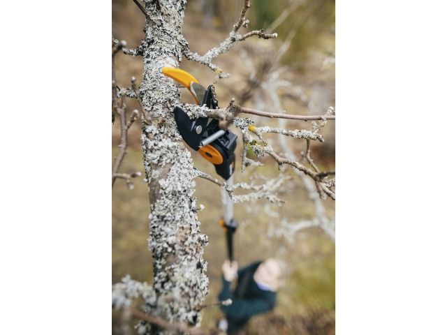 Image 5 PowerGear Tree Pruner Telescopic UPX86