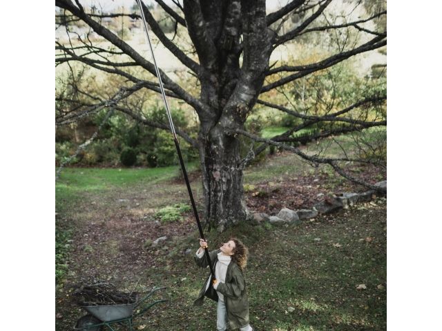 Image 6 PowerGear Tree Pruner Telescopic UPX86