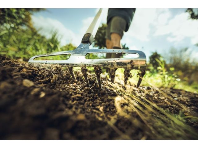 Image 4 X-series™ Rose Rake S