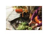 Watch image 6 Solid snip pruning shears SP150