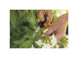 Watch image 11 Solid snip pruning shears SP150