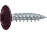 Modified truss head screw zinc plated sharp point 4.2х16 RAL 3005 (14000 pcs/carton) STARFIX