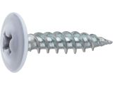 Modified truss head screw zinc plated sharp point 4.2х16 RAL 9003 (14000 pcs/carton) STARFIX