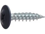 Modified truss head screw zinc plated sharp point 4.2х16 RAL 7024 (14000 pcs/carton) STARFIX