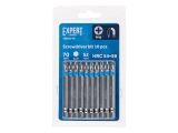 Screwdriver bits PH2 70mm 10pcs EXPERT STARTUL