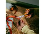 Watch image 8 'Classic Hobby Scissors 13cm CRE