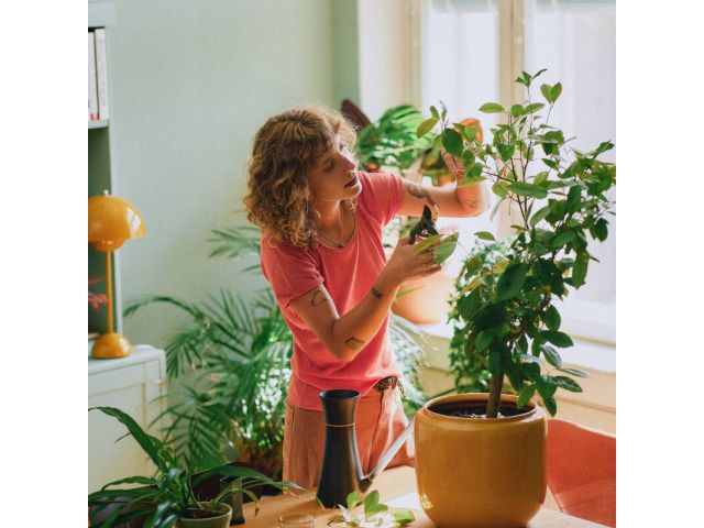 Image 9 Plant Care Pruner with Holder