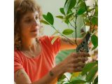 Watch image 8 Plant Care Pruner with Holder