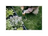 Watch image 5 Fiskars OneClick Weed Extractor