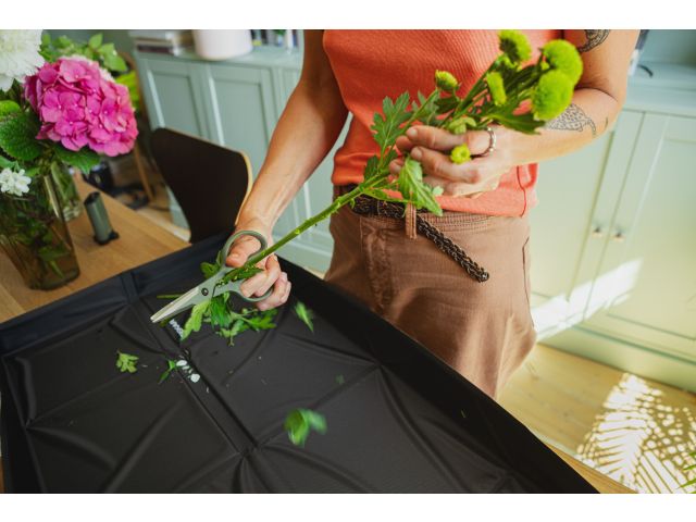 Image 9 Plant Care Plant Shears with Holder