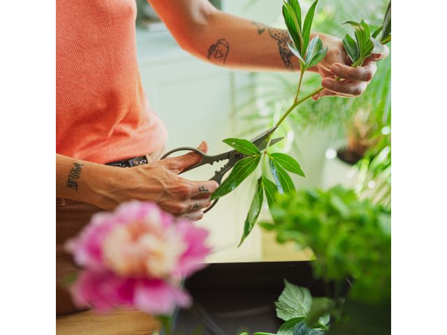 Image 10 Plant Care Plant Shears with Holder