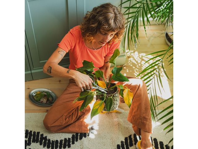 Image 8 Plant Care Plant Shears with Holder