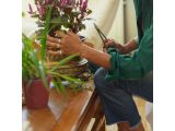 Watch image 7 Plant Care Plant Detailer with Holder