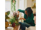 Watch image 9 Plant Care Plant Detailer with Holder