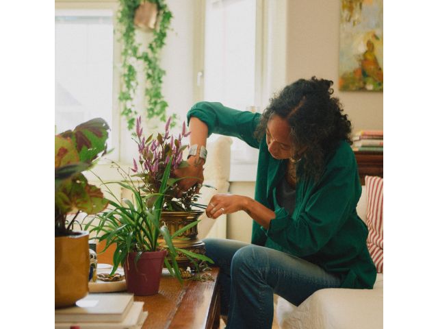 Image 9 Plant Care Plant Detailer with Holder