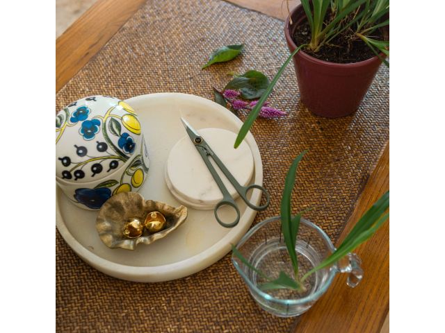 Image 8 Plant Care Plant Detailer with Holder
