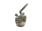 Watch image 13 Plant Care Soil Tool Set 5pc