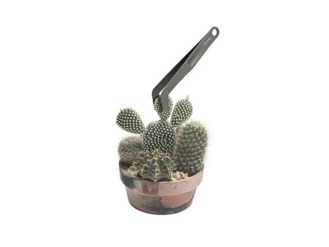 Image 13 Plant Care Soil Tool Set 5pc