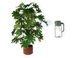 Watch image 7 Plant Care Mist &amp; Pour Watering Can