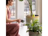 Watch image 4 Plant Care Mist &amp; Pour Watering Can