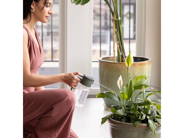 Image 4 Plant Care Mist &amp; Pour Watering Can