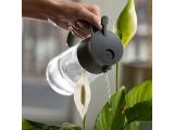 Watch image 5 Plant Care Mist &amp; Pour Watering Can